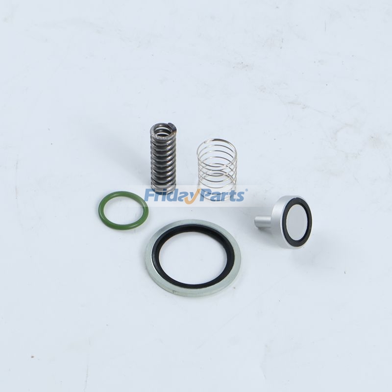 FridayParts Min Pressure Valve Maintenance Kit