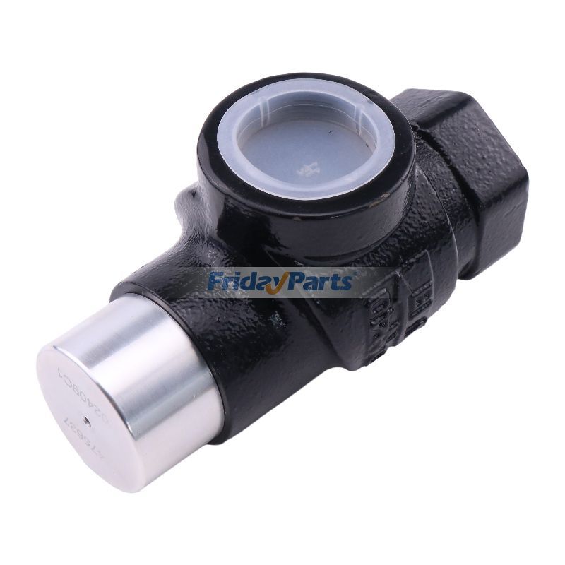 Minimum Pressure Check Valve Screw for Air Compressor