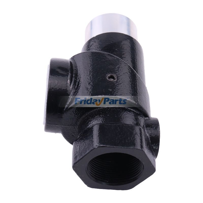 Minimum Pressure Check Valve Screw in Stock in China