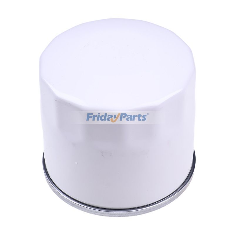 Compre Filtro de óleo 2175107 para motor Kohler Lombardini LDW602 LDW903 LDW1003 na FridayParts