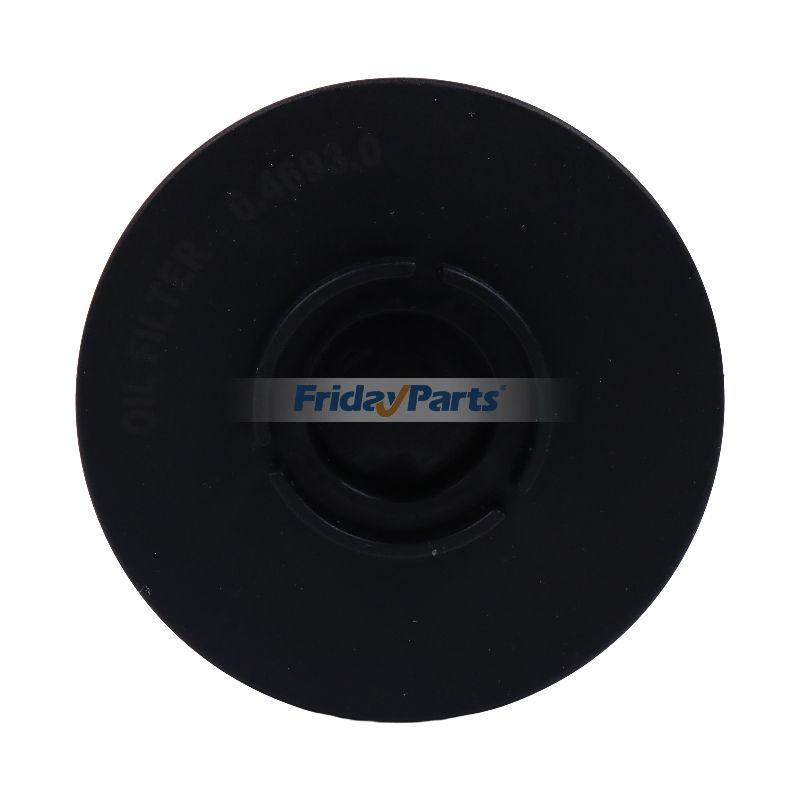 FridayParts Oil Filter