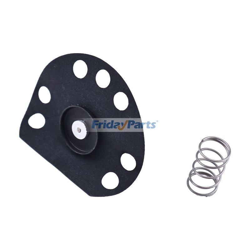 Oil Pump Diaphragm Plunger in Stock in China,China Stock