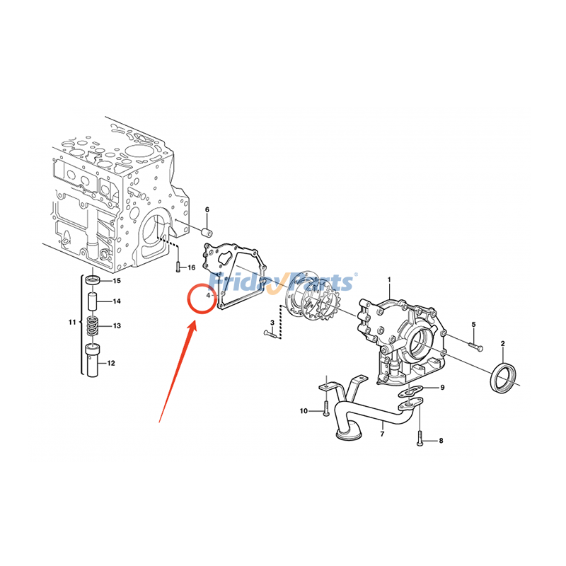 Oil Pump Gasket for Compactor,Engine,Excavator,Loader,Motor Grader