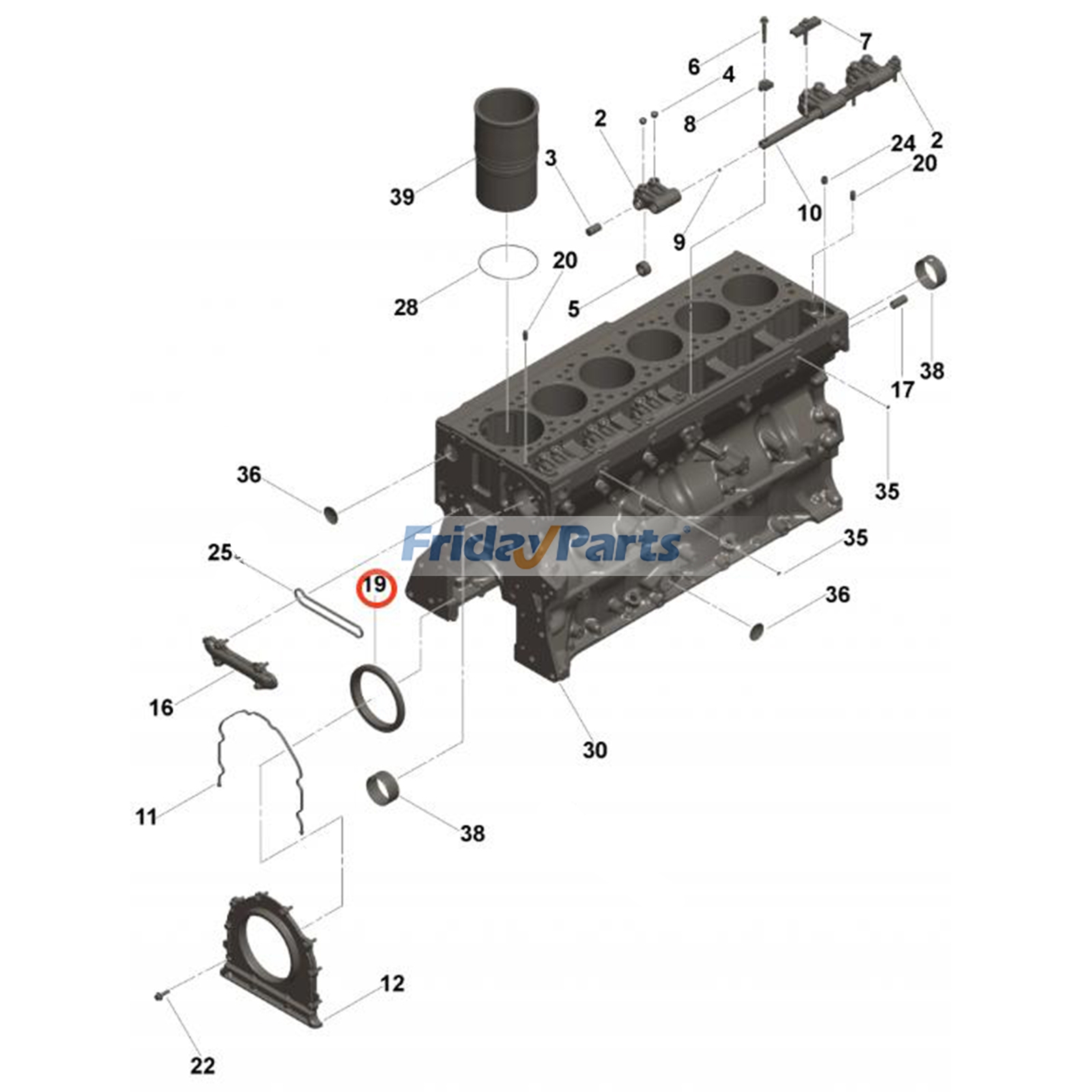 Oil Seal for Engine,Loader