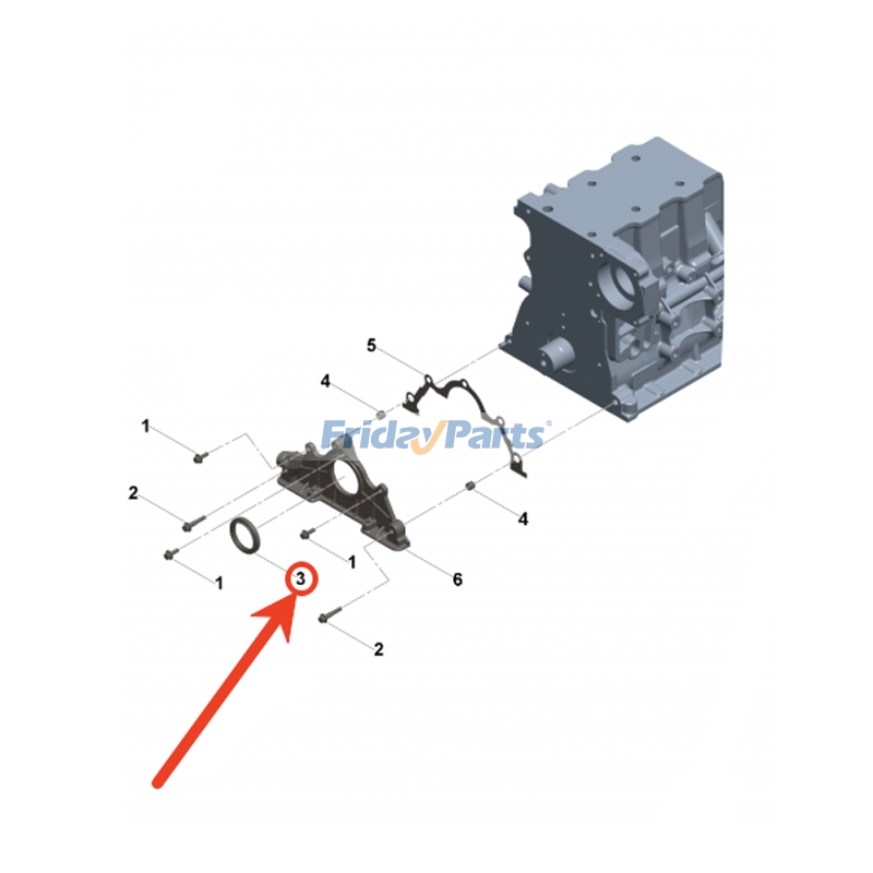 Oil Seal for Engine