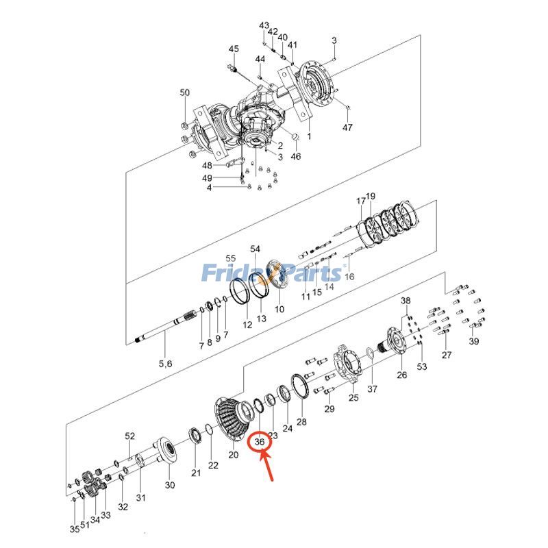 Oil Seal for Forklift
