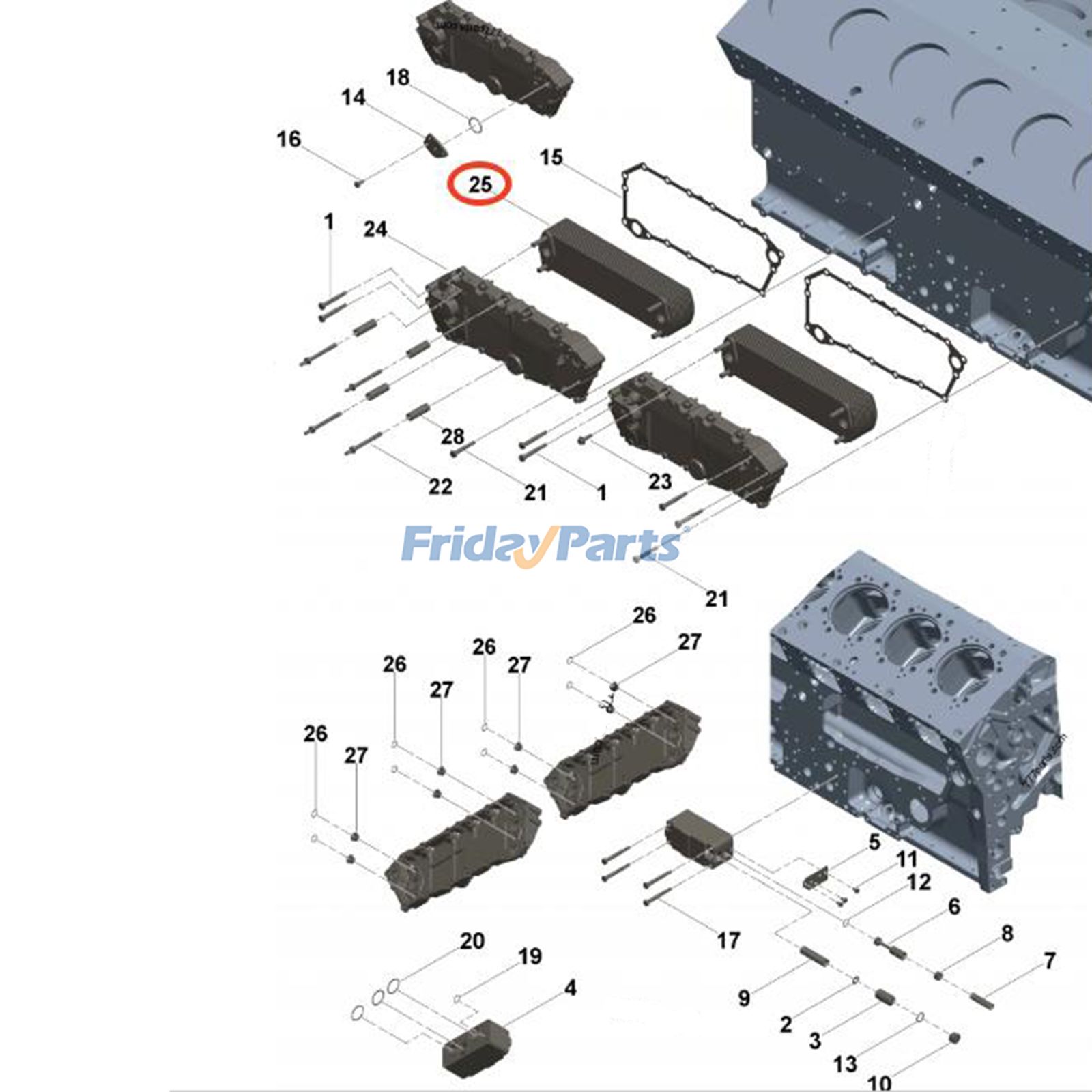 Oil Coolerpour Moteur