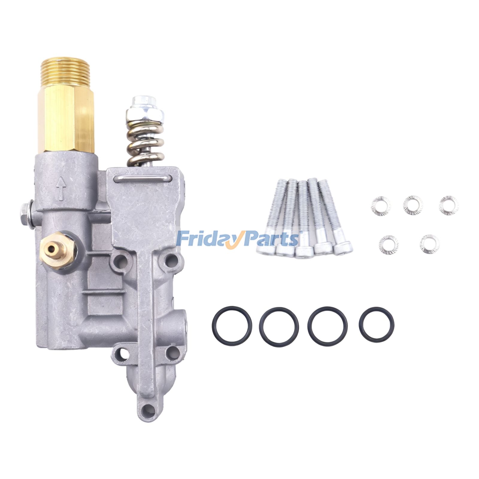 Outlet Valve Kit 308653025 for Homelite Pressure Washer Pump