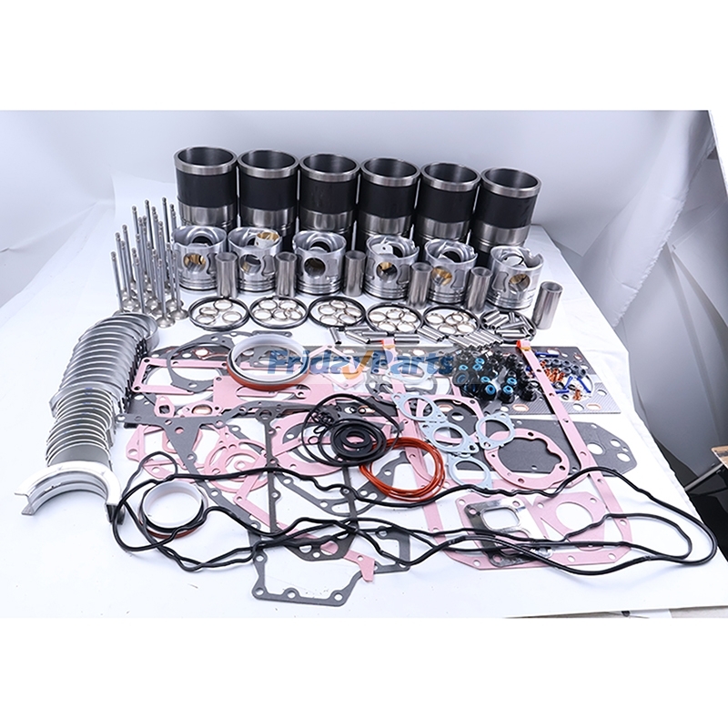 Overhaul Rebuild Kit 5302848 for Cummins Engine ISL9 QSL9