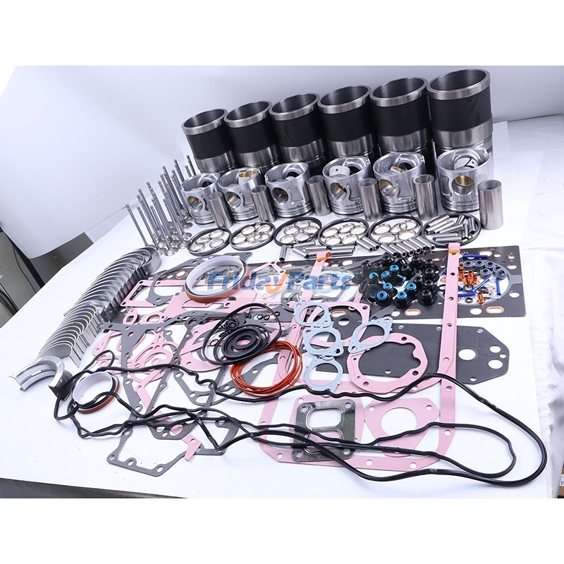 Overhaul Rebuild Kit compatible with Engine