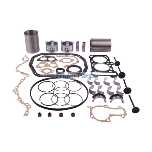 Joyner Radiator Kit de reconstrucción para el motor Joyner Trooper LJ276MT-2