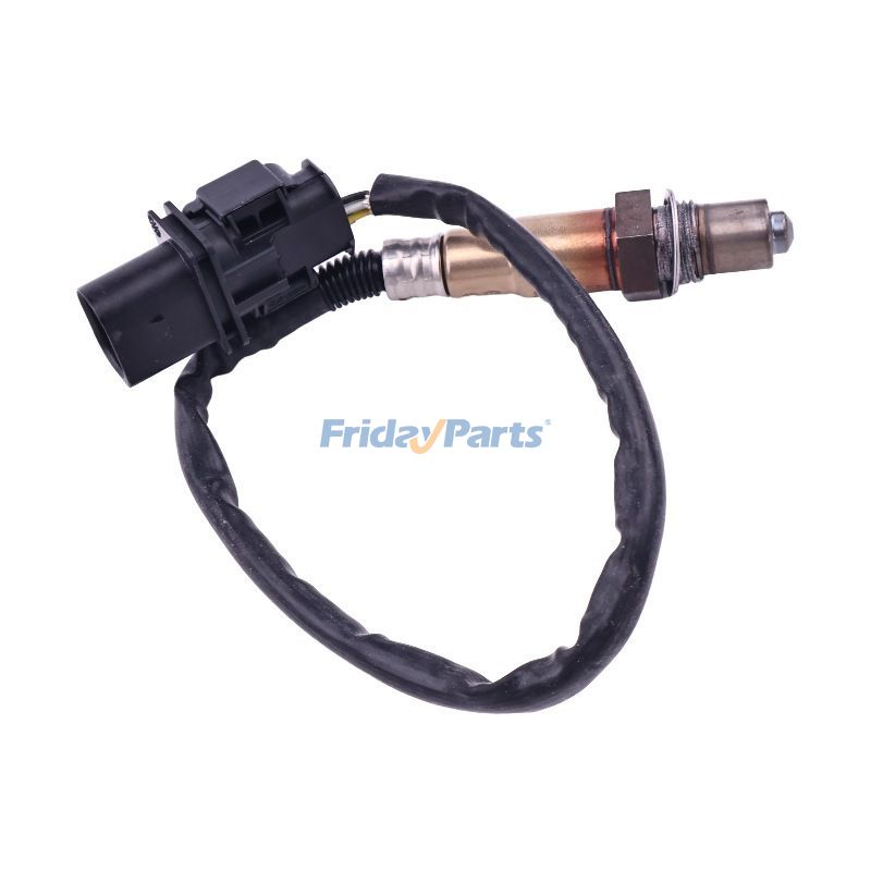 Oxygen Sensor for Vehicle