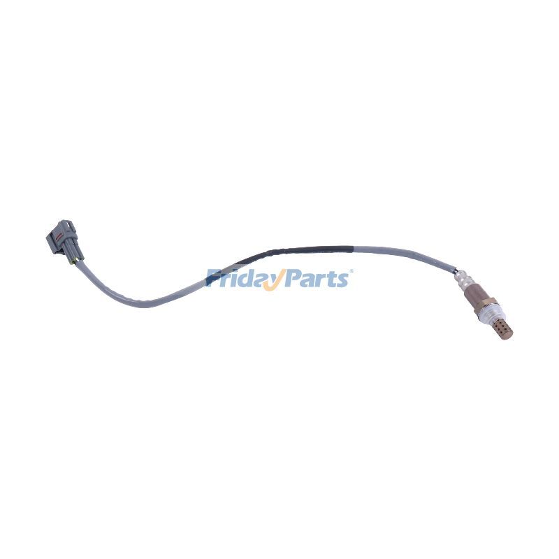 Oxygen Sensor for Vehicle