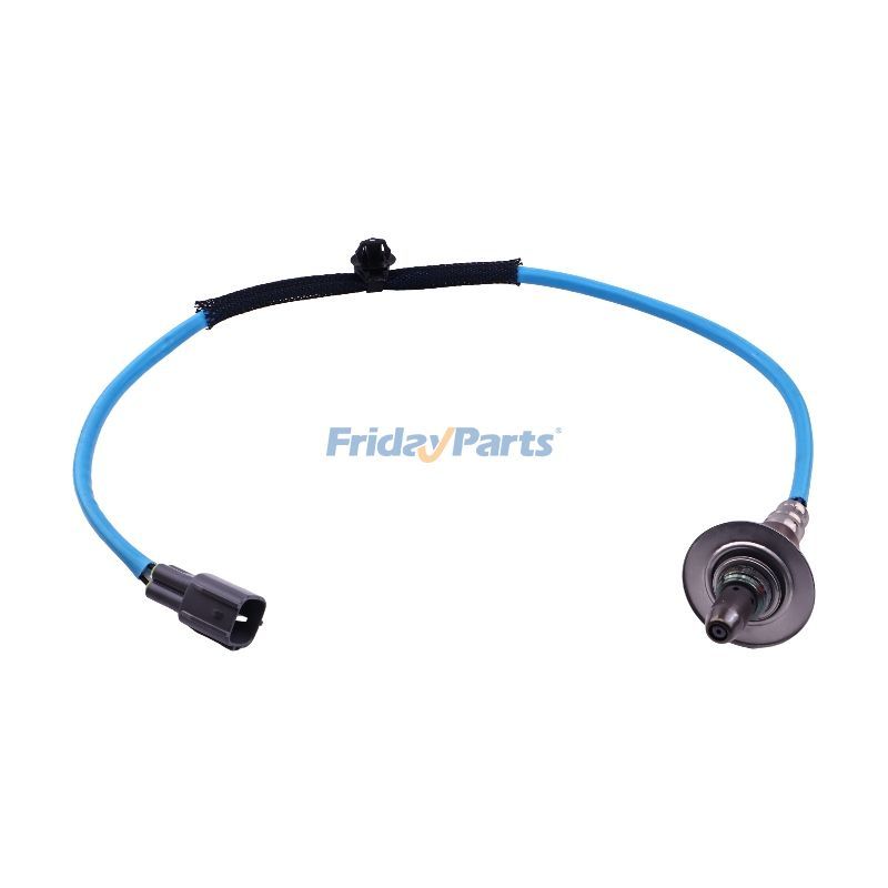 Oxygen Sensor for Vehicle