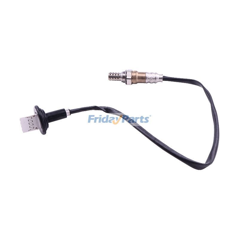 Oxygen Sensor for Vehicle