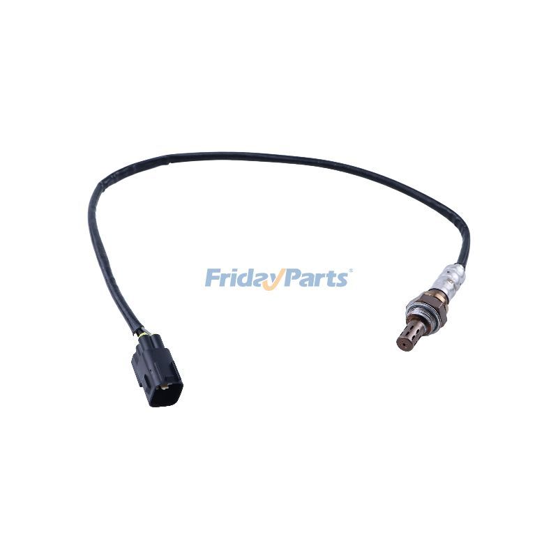Oxygen Sensor for Vehicle