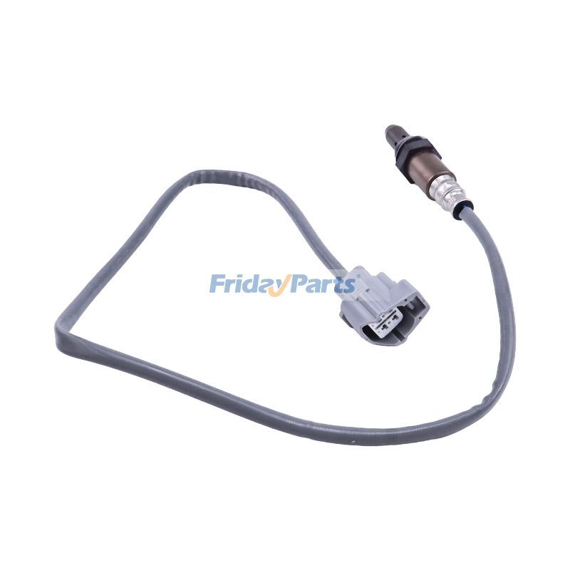 Oxygen Sensor for Vehicle