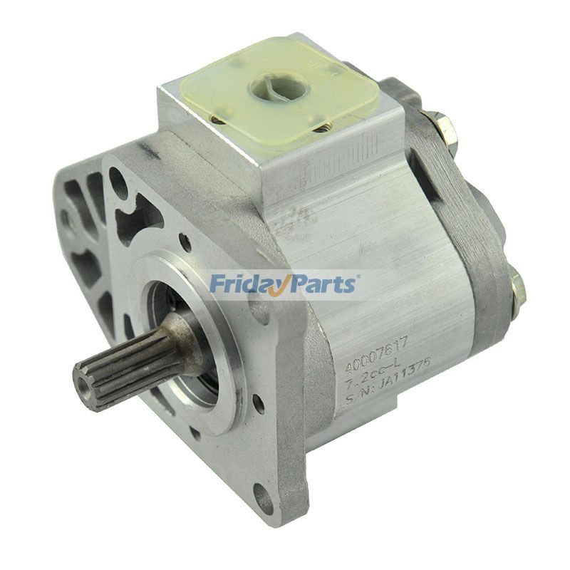 Power Steering Pump 40007617 for LS  U5020 N41 N47