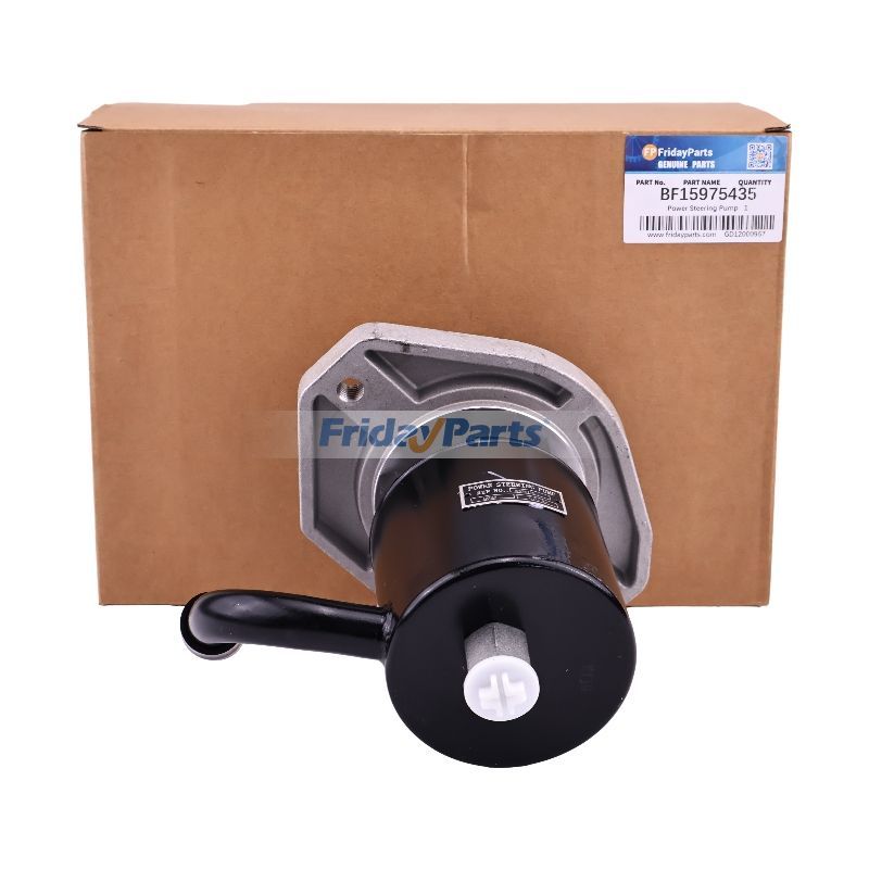 Power Steering Pump BF15975435 for Caterpillar CAT 3116 Engine GMC Chevrolet Kodiak C6500