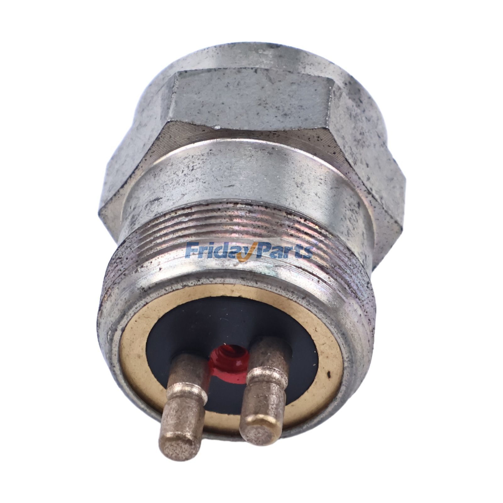 まりも　0808 $_57.JPG?set_id=880000500F