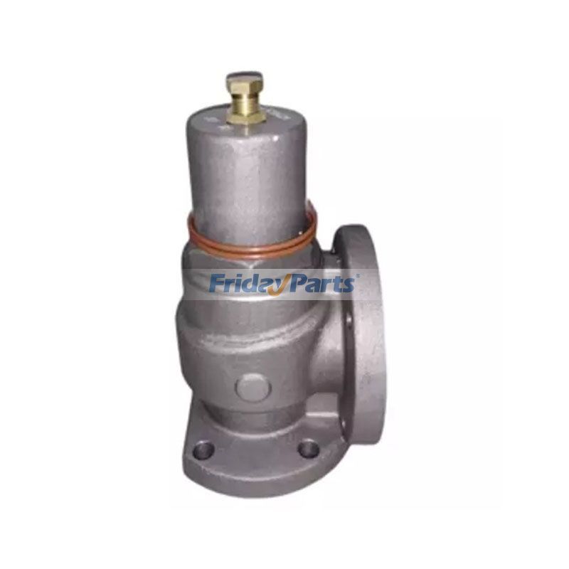 Pressure Maintenance Valve  for Air Compressor