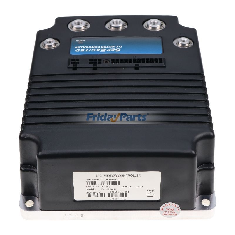 Contrôleur de moteur DC SepEx programmable de FridayParts