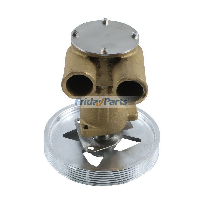 Raw Sea Water Pump for Engine