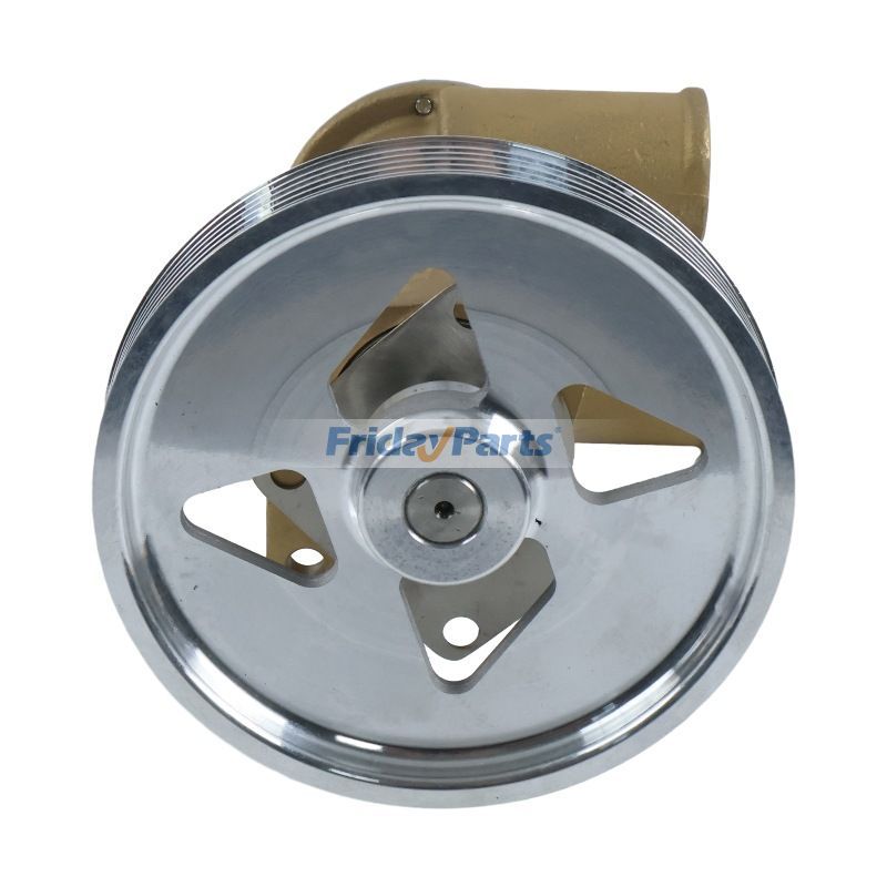 FridayParts Raw Sea Water Pump