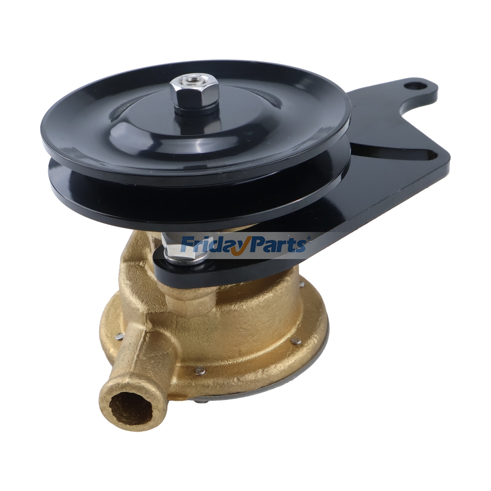  Raw Water Pump 