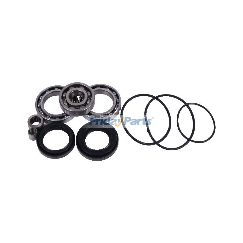 FridayParts Hinterachsdifferentiallager und Dichtungssatz