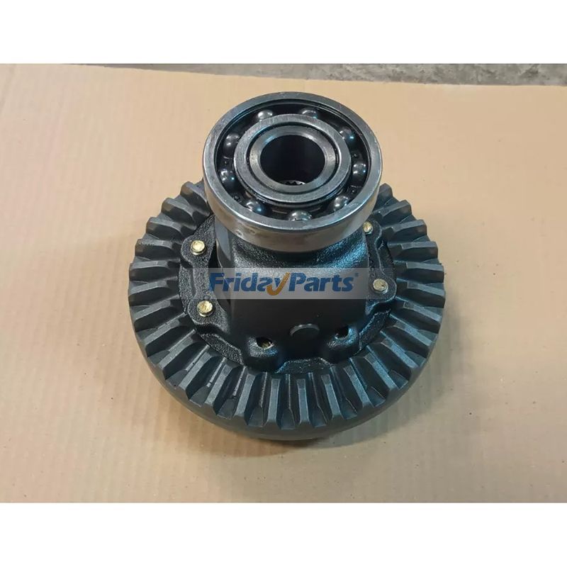 Ensemble de verrouillage de couronne de différentiel arrière 103871801 AM1301301 pour Club Car Carryall 1500 1700 295