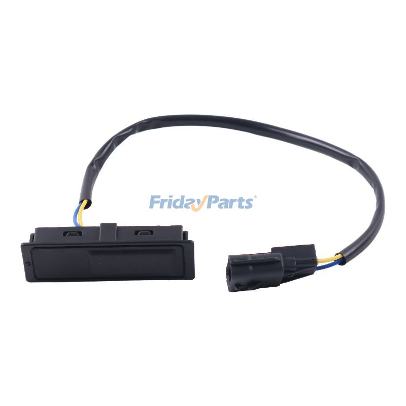 Tailgate Switch for Vehicle