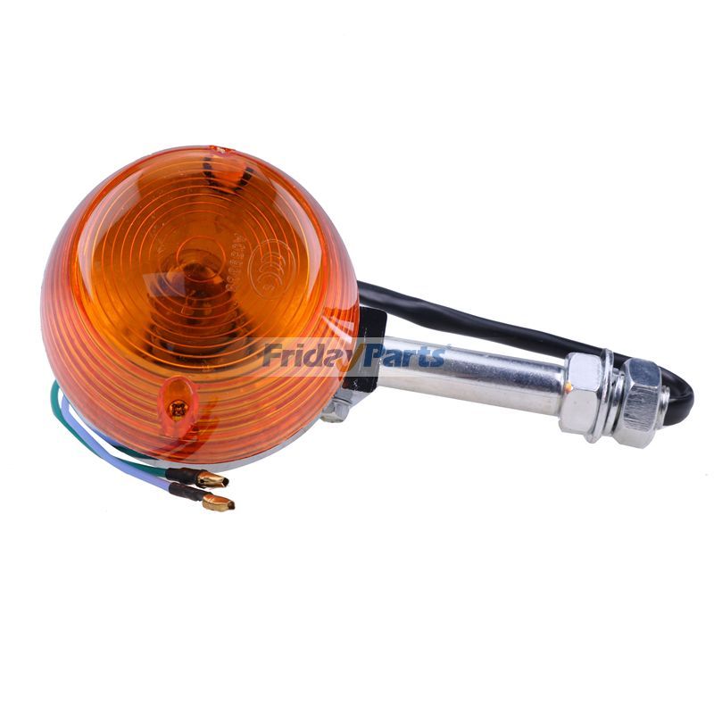 FridayParts 2 Stück Heckblinker