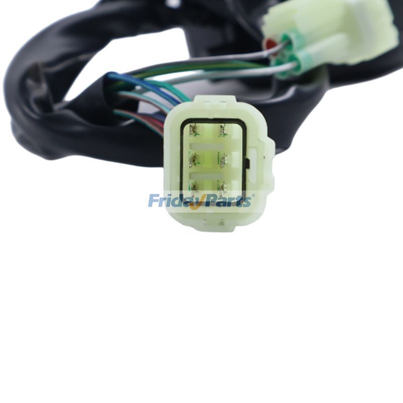 Parte para ATV/UTV,Motor