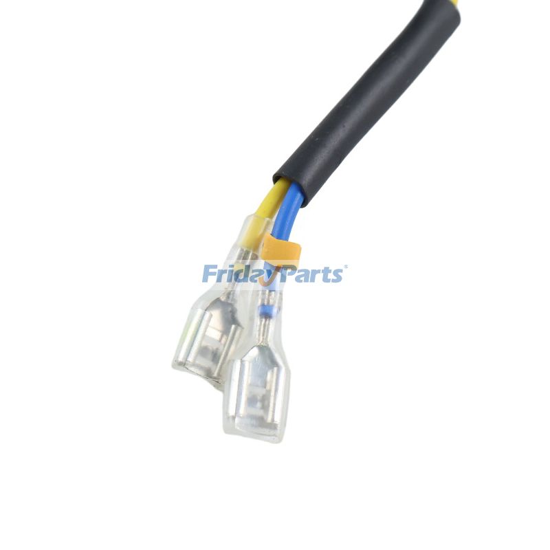 Achetez Balais de charbon ronds AVR et 2-3KW pour régulateur de tension Kipor Kama 168F Honda chez FridayParts