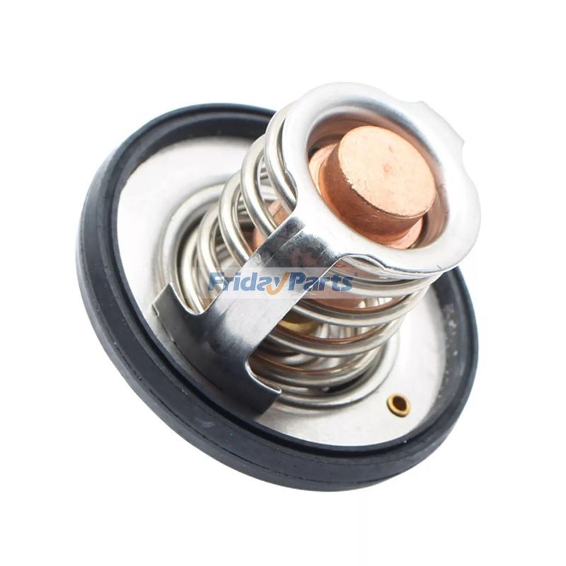 Thermostatfür Fahrzeug