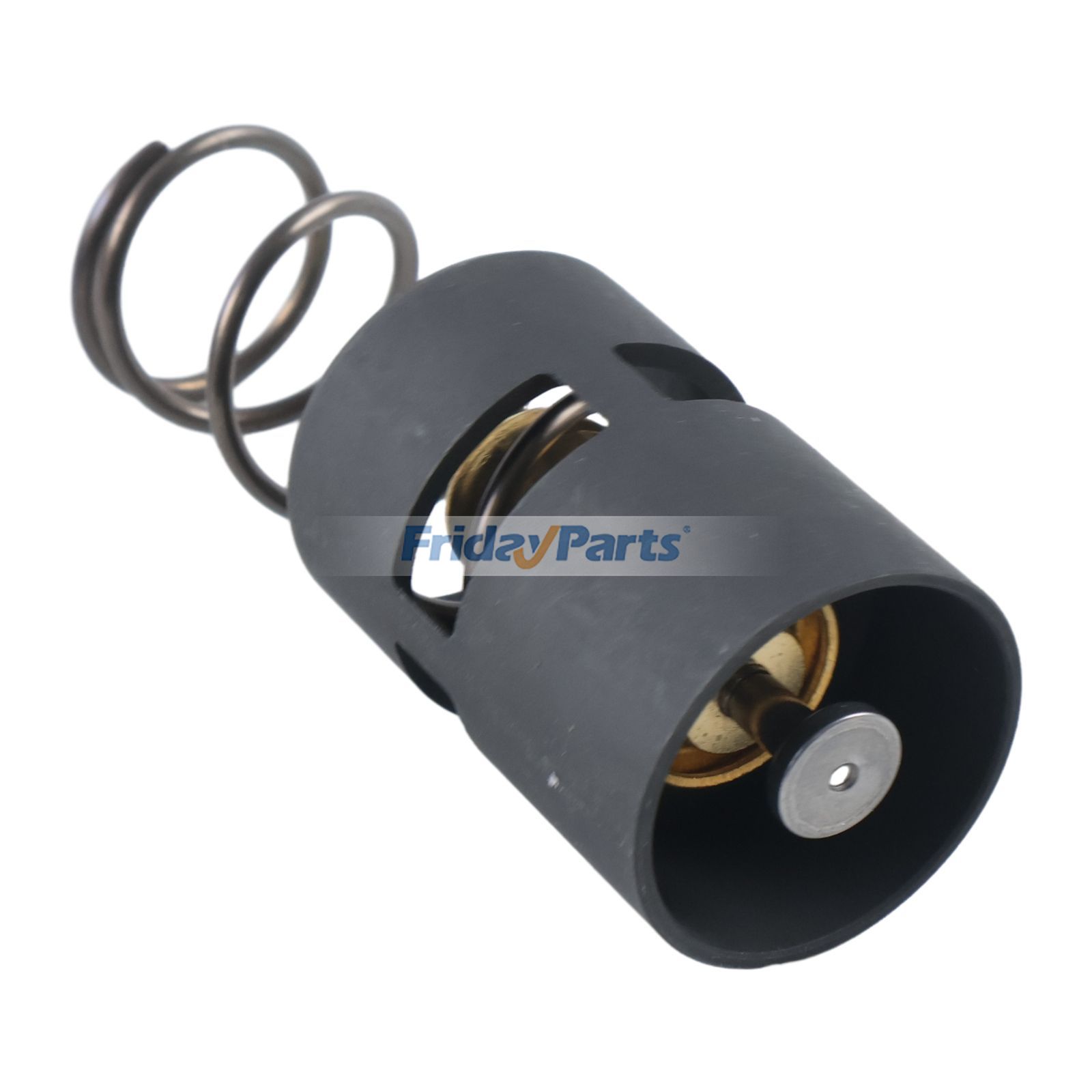 FridayParts Screw Thermostatic Valve Service Kit