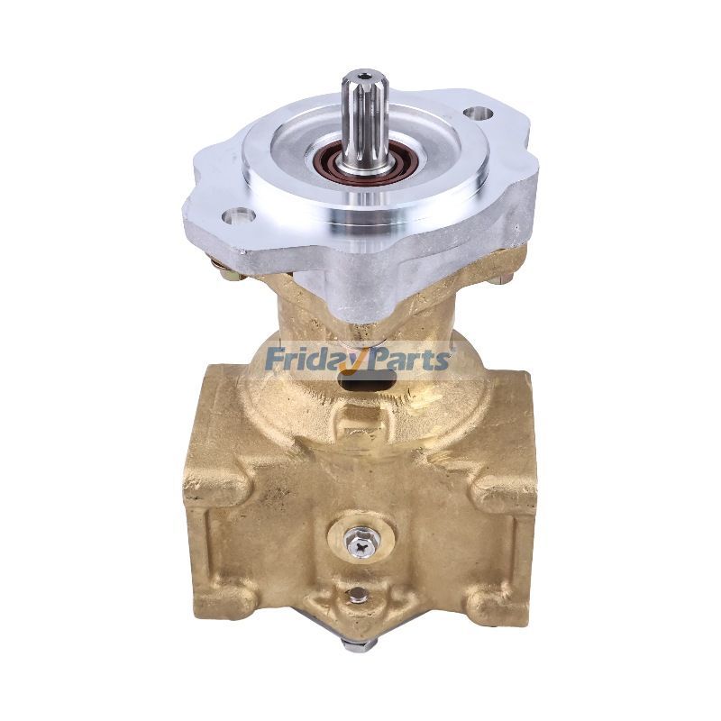 Seewasserpumpefür Motor