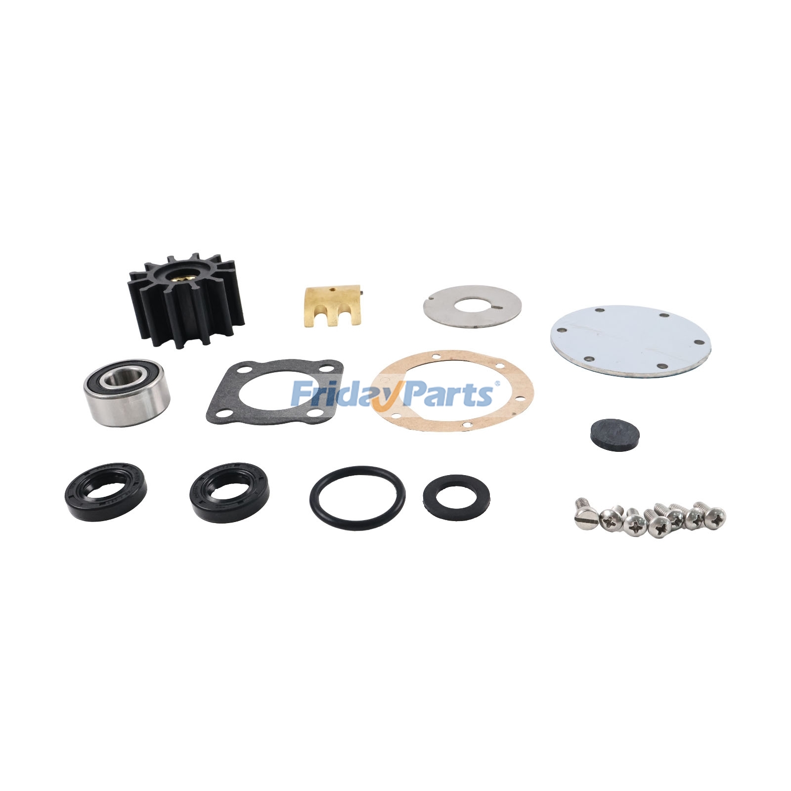 FridayParts Reparatursatz für Seewasserpumpe