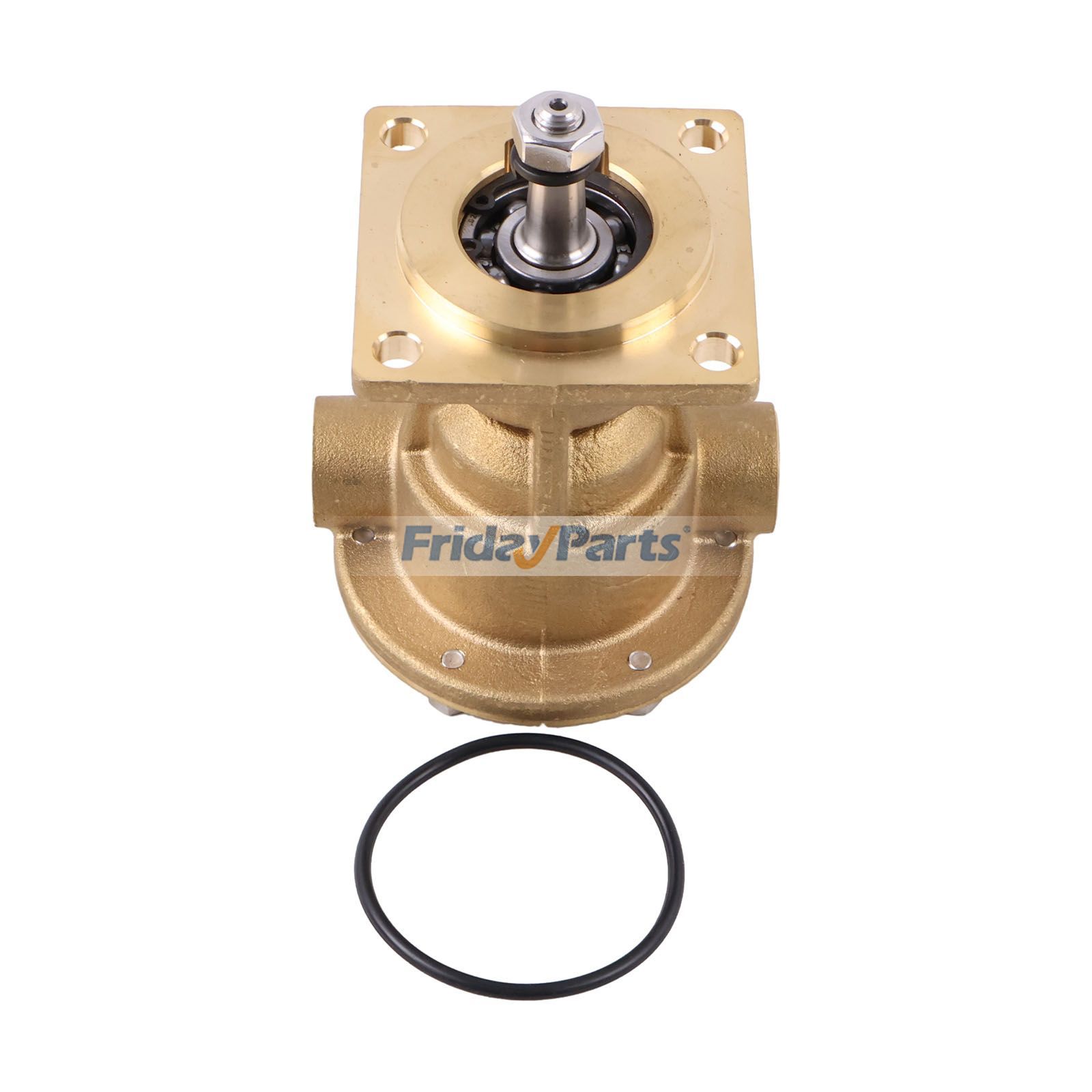 FridayParts Seewasserpumpe