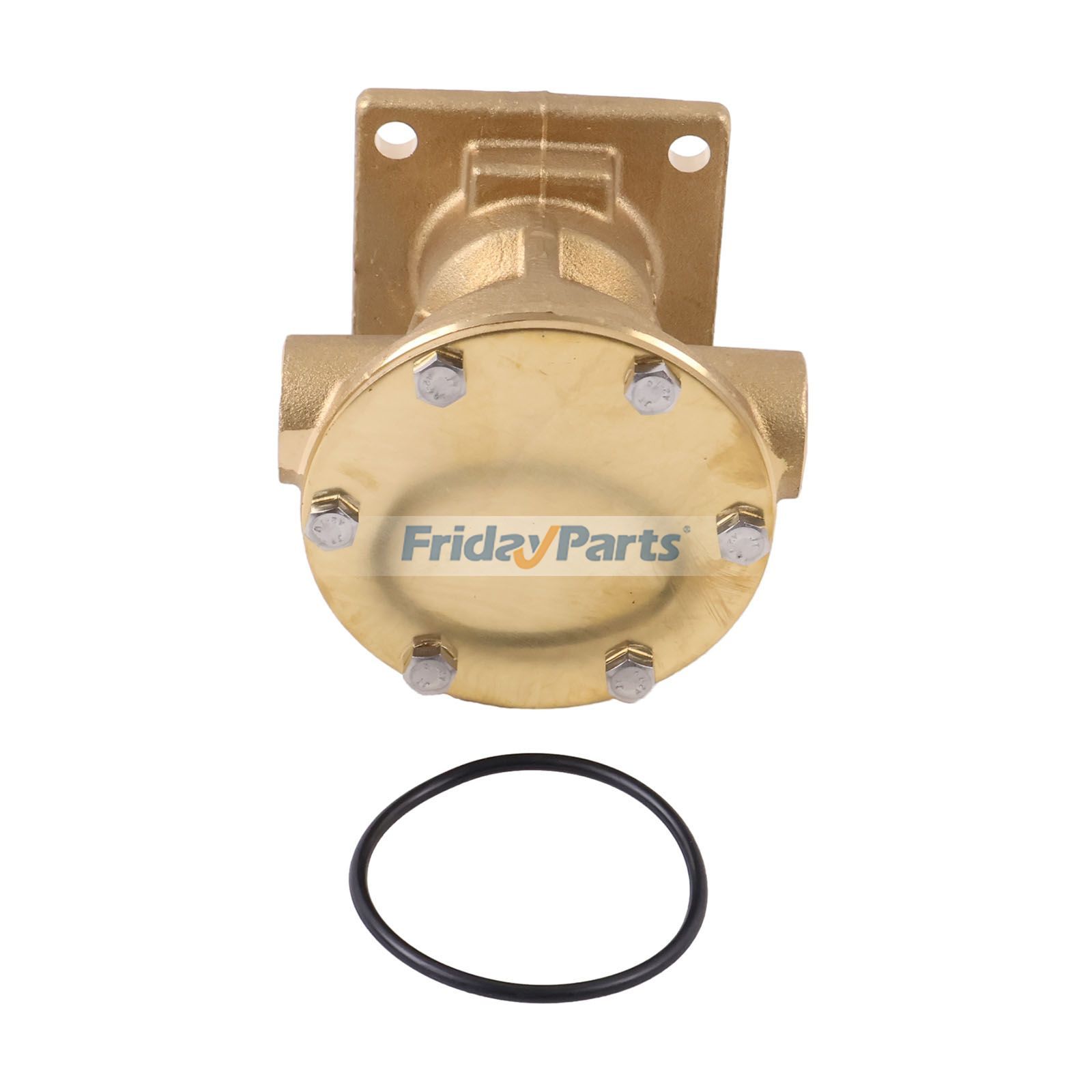 SeewasserpumpeFür Northern Lights