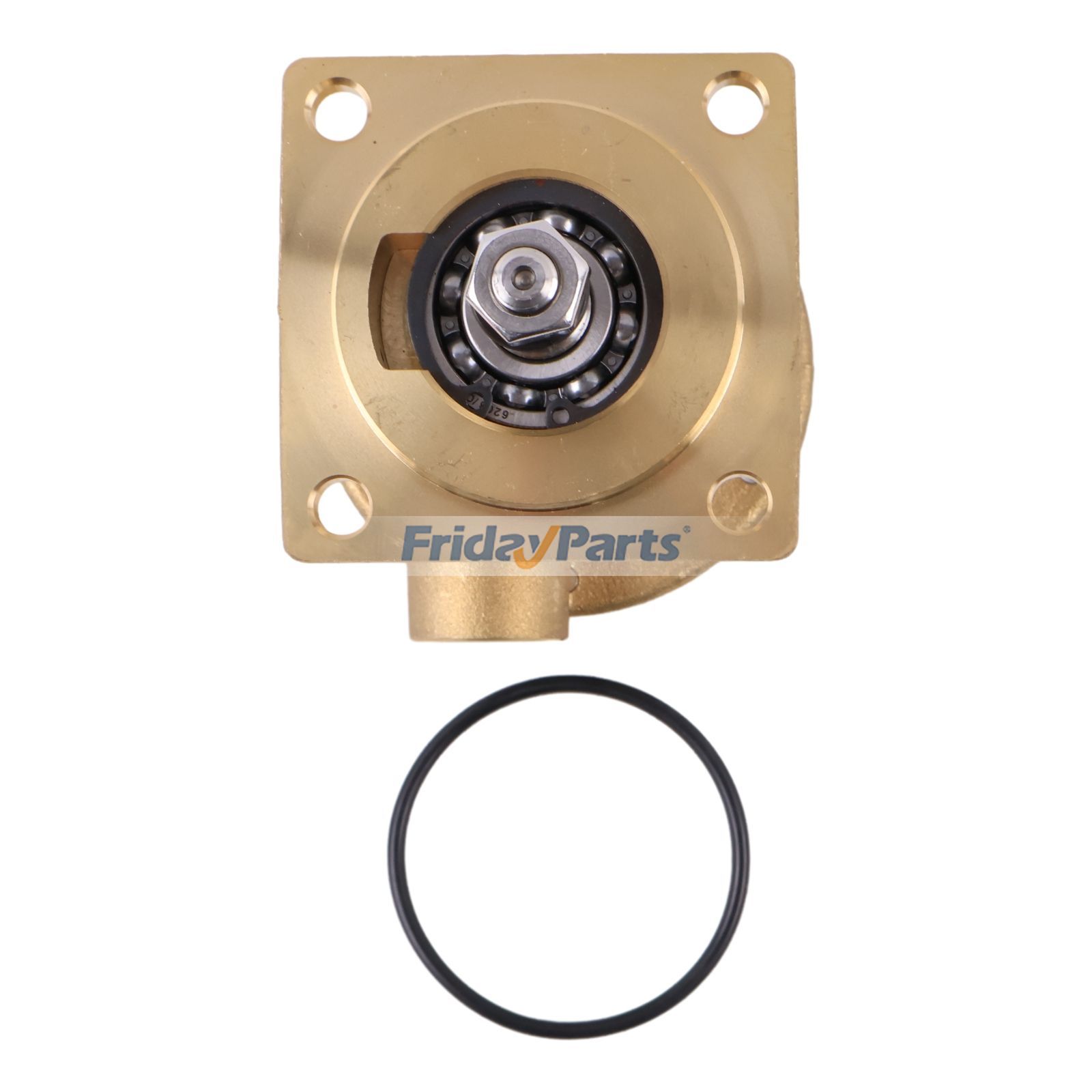 Seewasserpumpefür GeneratorFür Northern Lights