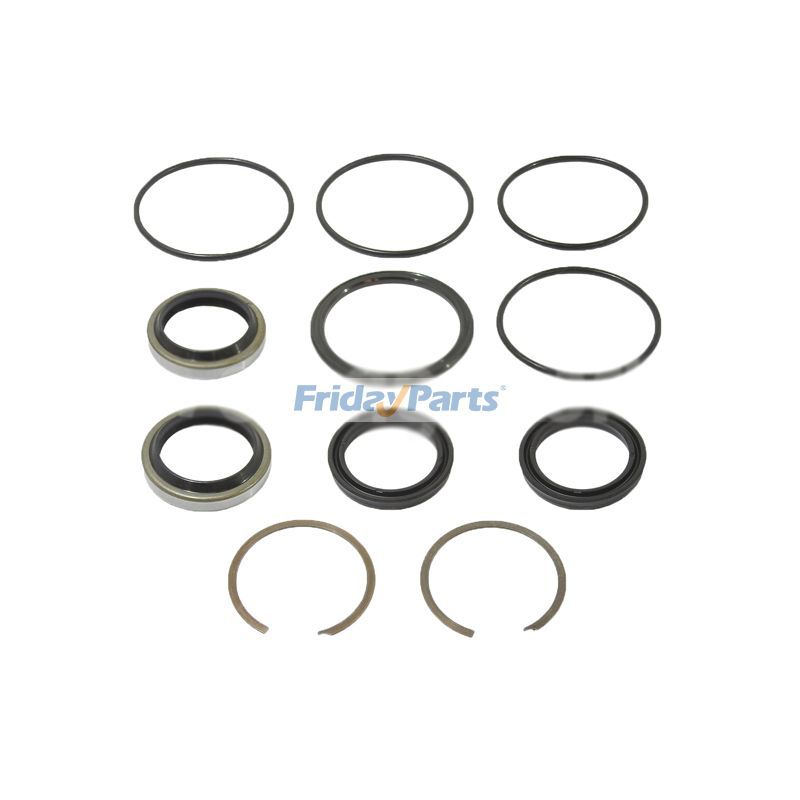 Seal Kit 4613501 for Hyster Forklift