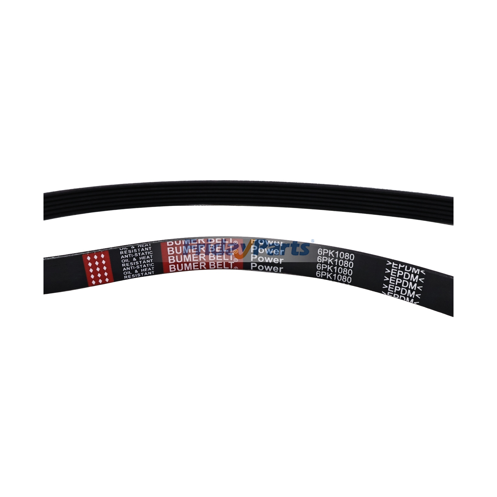 Ceinture serpentine Pour Genie