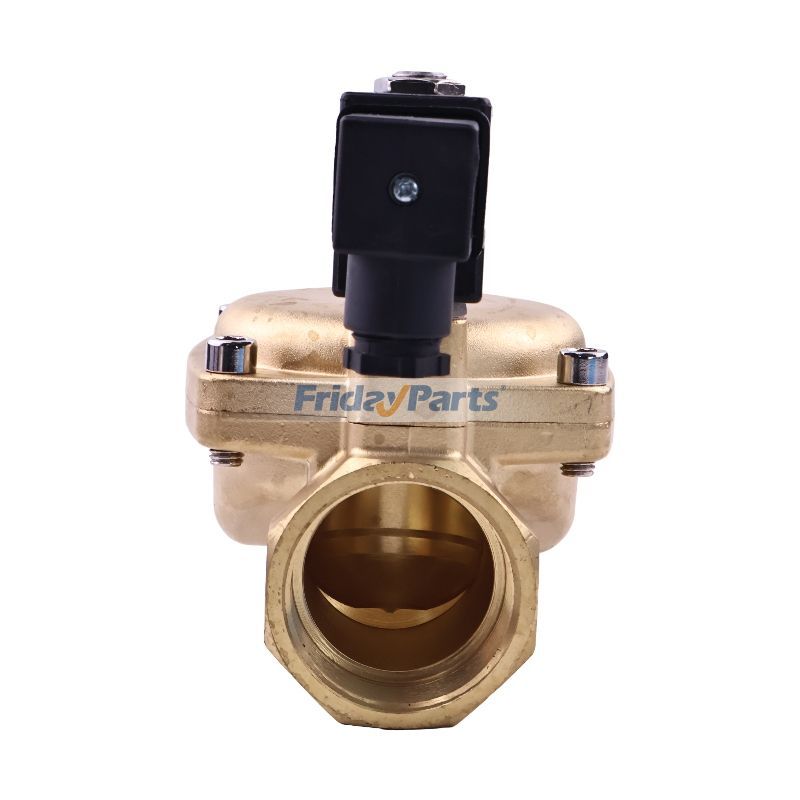 FridayParts Solenoid Valve