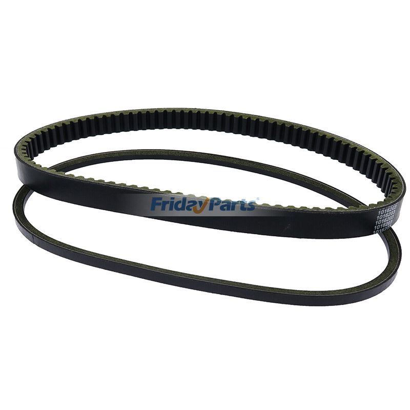 Générateur de démarreur et courroie de transmission 1016203 101916701 pour Club Car DS 1997-UP Precedent 2004-UPpourPour Club Car