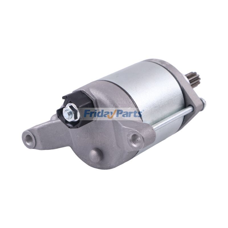 FridayParts Starter Motor