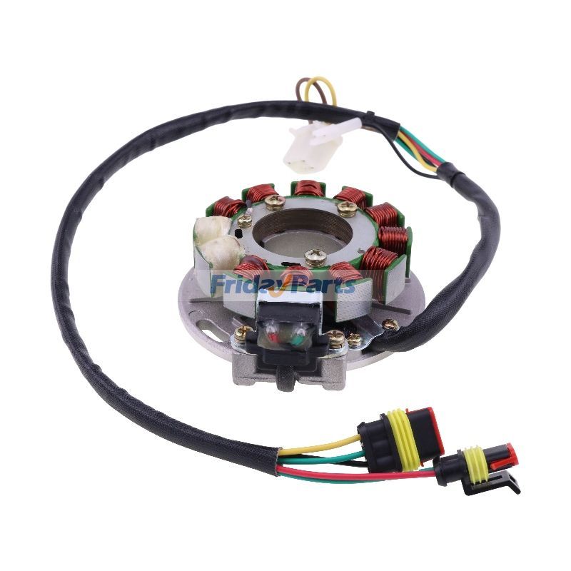 Estator 4060213 4060140 4060185 4060187 para Polaris Classic700 RMK600 SKS700 XC500