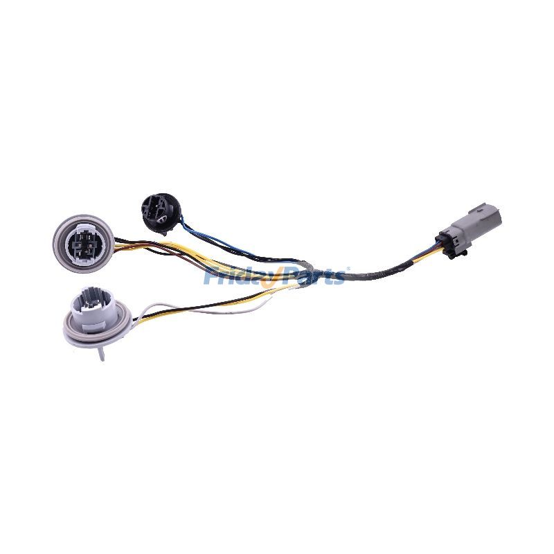 Prise de feu arrière et faisceau de câblespour Véhicule