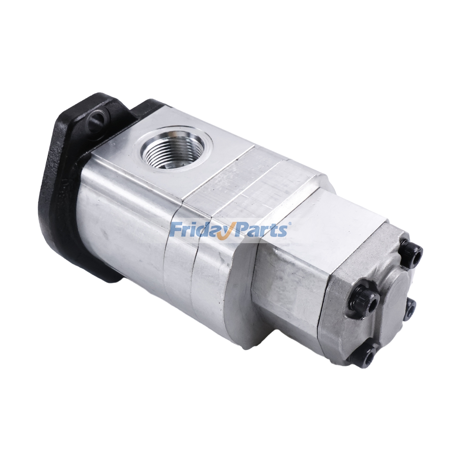 Pompa tandem 04021-C16 per trituratore di ceppi Barreto 30SG